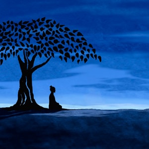 Los 10 Mejores Consejos del Maestro Osho