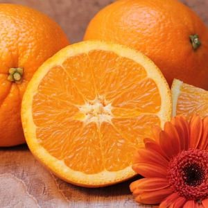 Vitamina A: Conoce qué alimentos la contienen y sus beneficios para la vista y la reproducción